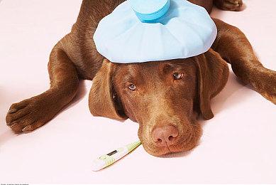 《6栋301房》现已发售 Steam国区售价18元